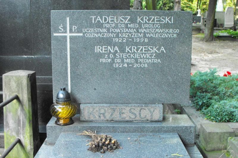 Zdjęcie grobu Irena Krzeska (1)