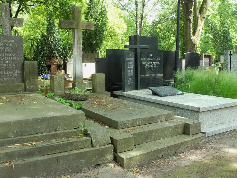 Zdjęcie grobu Walery Malinowski (1)