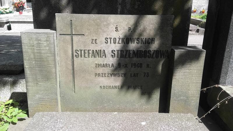 Zdjęcie grobu Stefania Strzemboszowa (2)