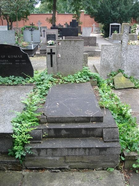 Zdjęcie grobu: Helena Jagielińska