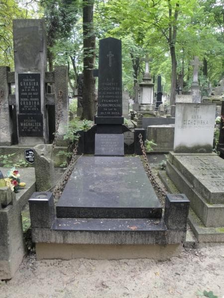 Zdjęcie grobu: Zygmunt Dobrowolski