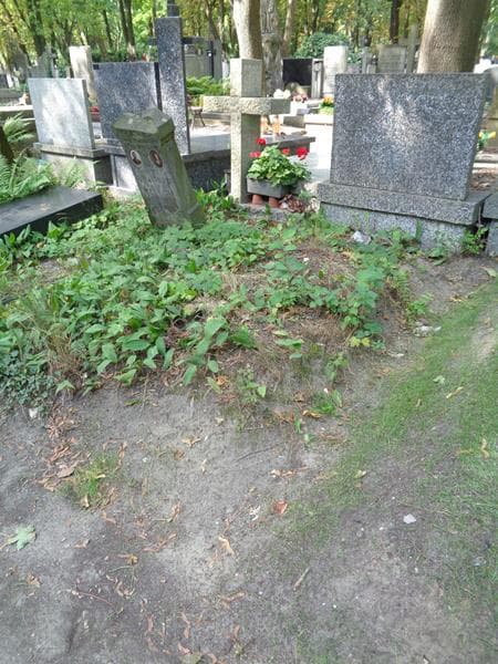 Zdjęcie grobu: Pole Grobowe