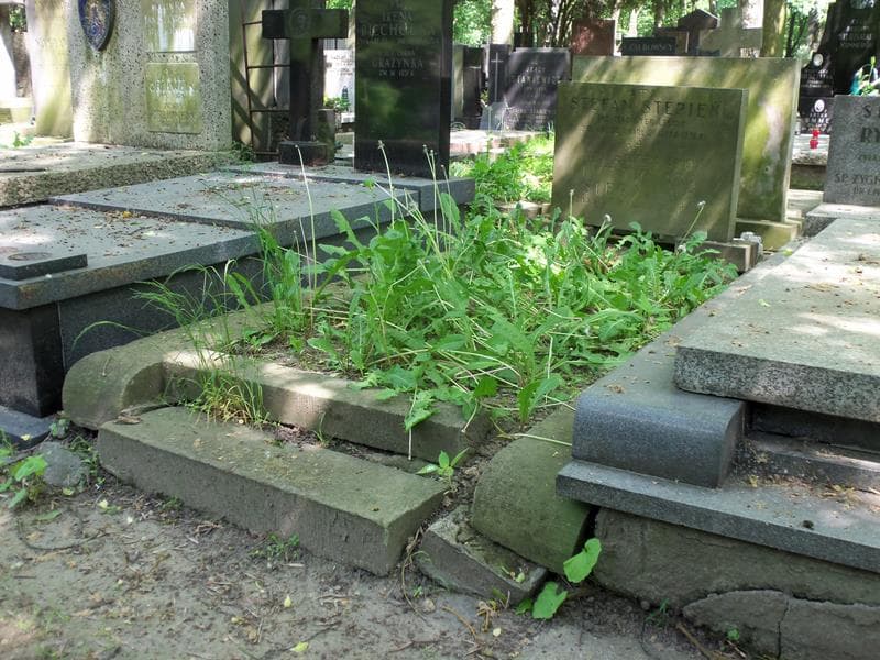 Zdjęcie grobu Anna Stępniowa (1)