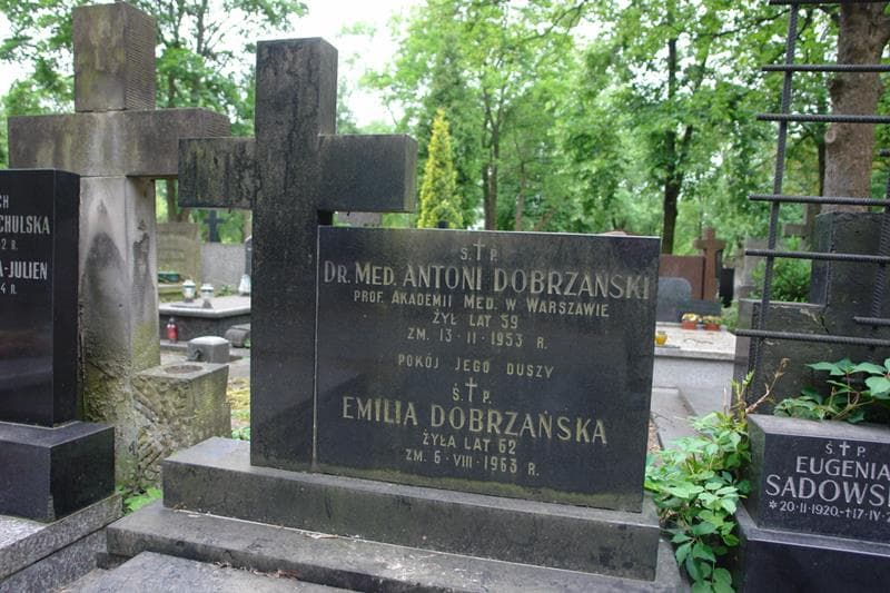 Zdjęcie grobu Antoni Dobrzański (2)