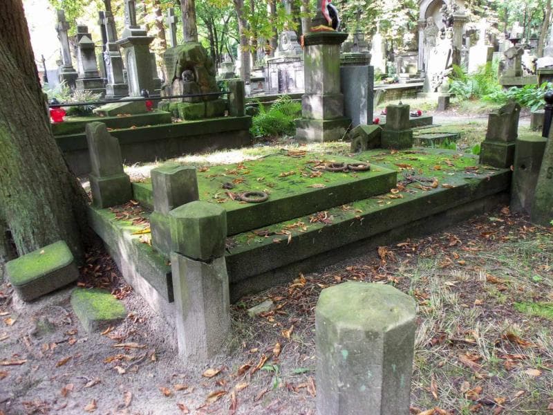 Zdjęcie grobu Emiljan Zeitheim (1)