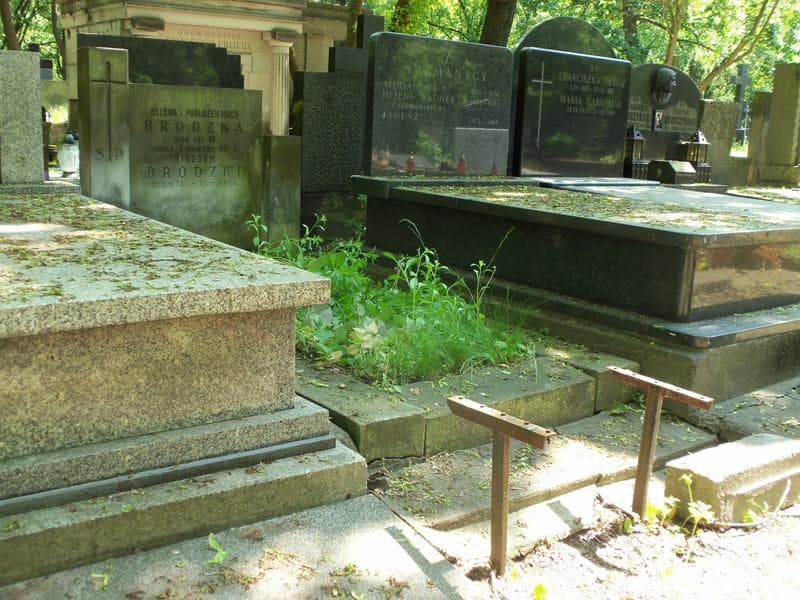 Zdjęcie grobu Nikodem Brodzki (1)