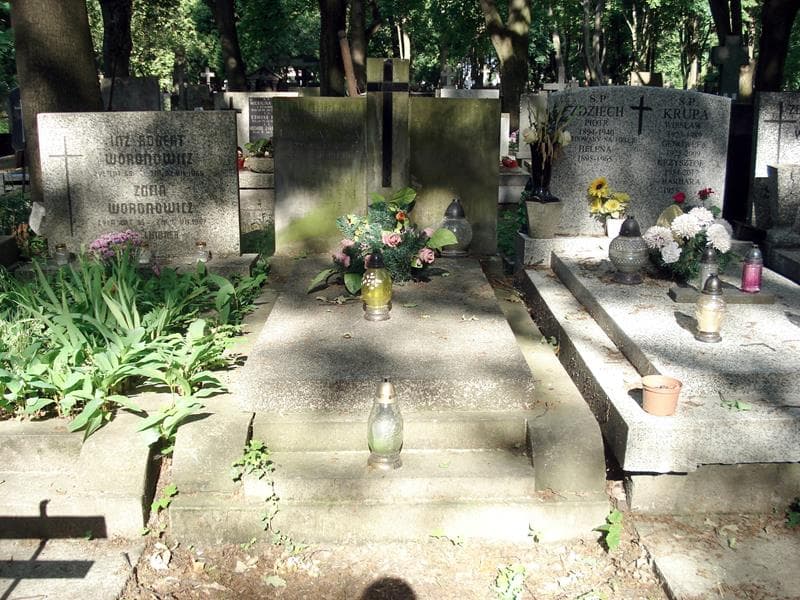 Zdjęcie grobu: Władysław Lamparski
