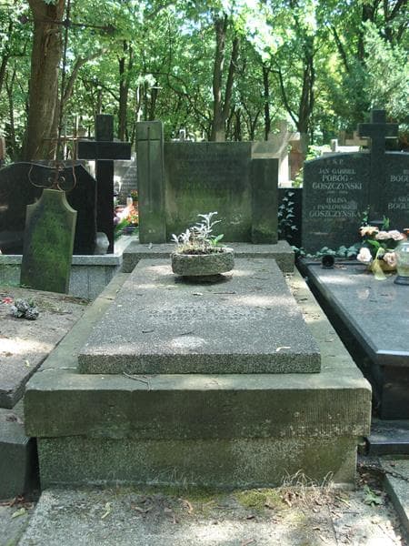 Zdjęcie grobu: Franciszek Obrębski