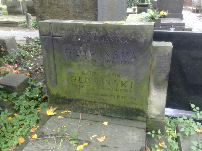 Zdjęcie grobu Zofia Głowińska (1)