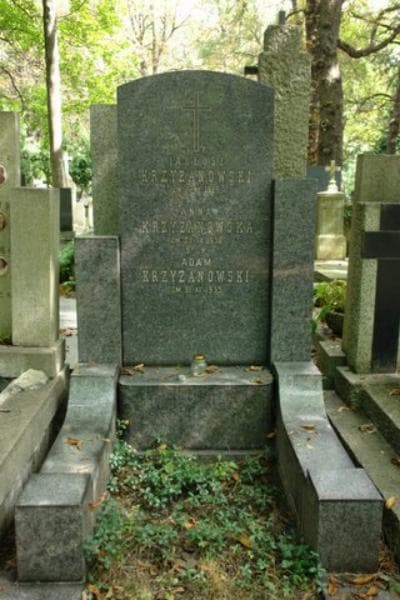Zdjęcie grobu Adam Krzyżanowski (2)