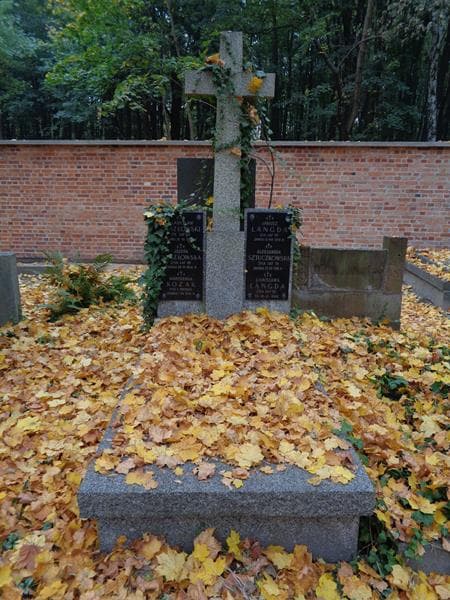 Zdjęcie grobu Stanisława Langda (1)