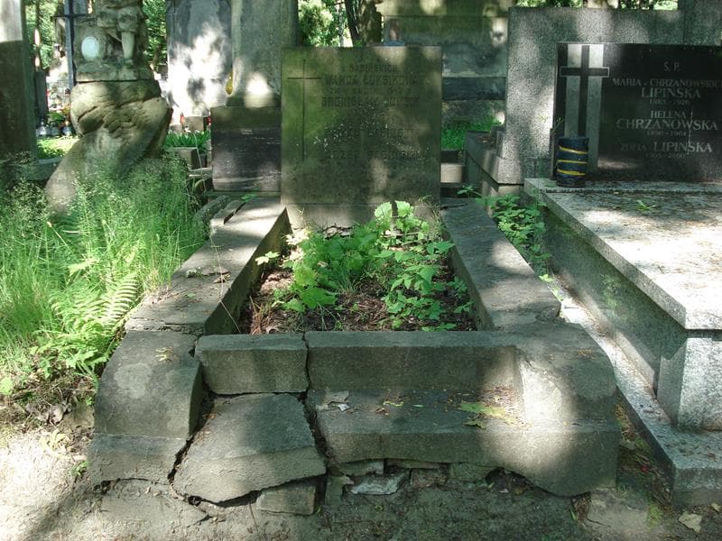 Zdjęcie grobu: Józef Babiński
