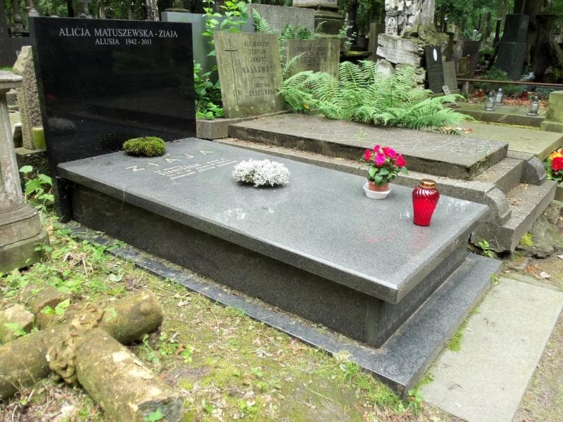 Zdjęcie grobu Stanisław Ziaja (1)