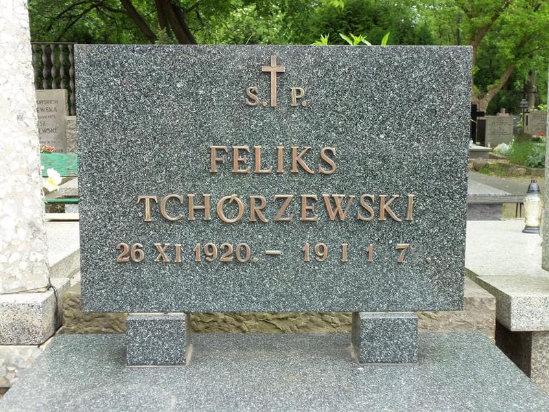 Zdjęcie grobu Feliks Tchórzewski (2)