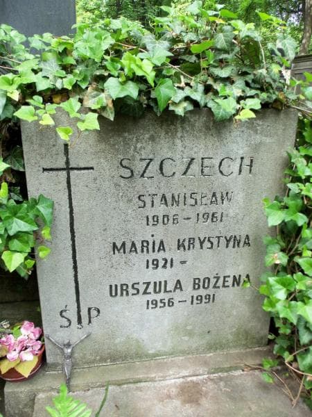 Zdjęcie grobu Stanisław Szczech (2)