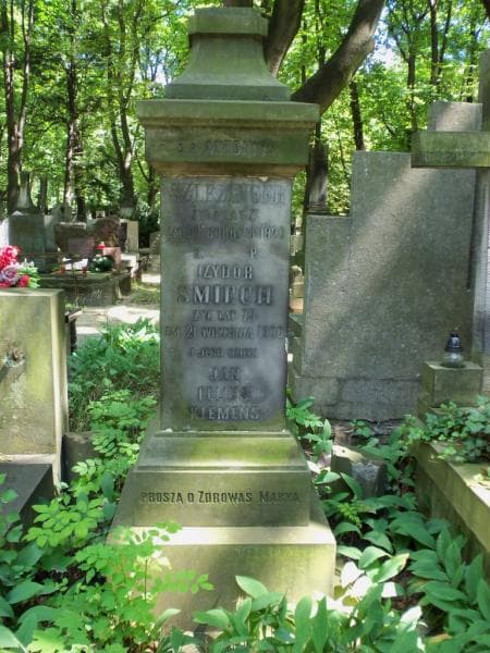 Zdjęcie grobu Antonina Szlezinger (2)