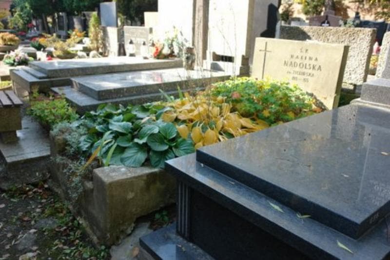 Zdjęcie grobu Halina Nadolska (1)
