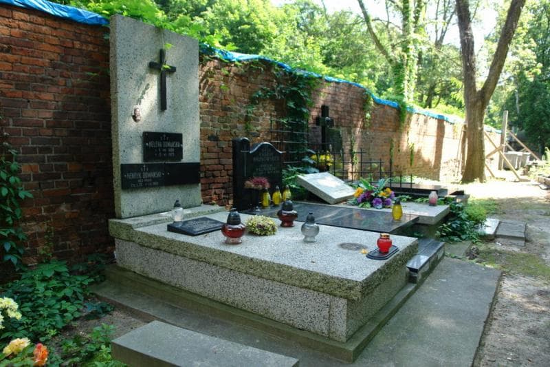 Zdjęcie grobu Henryk Domański (1)