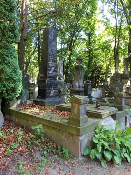 Zdjęcie grobu Władysława Krzewska (1)