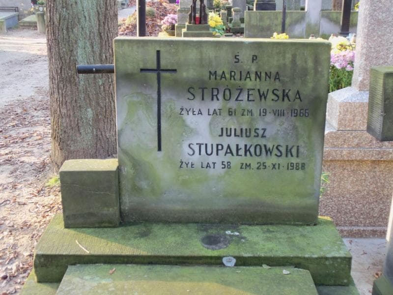 Zdjęcie grobu Marianna Stróżewska (2)