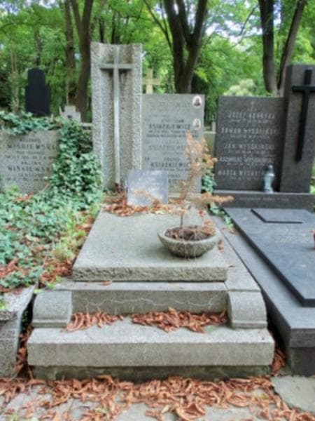 Zdjęcie grobu: Władysław Książkiewicz