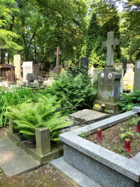 Zdjęcie grobu Dominik Polubiec (1)