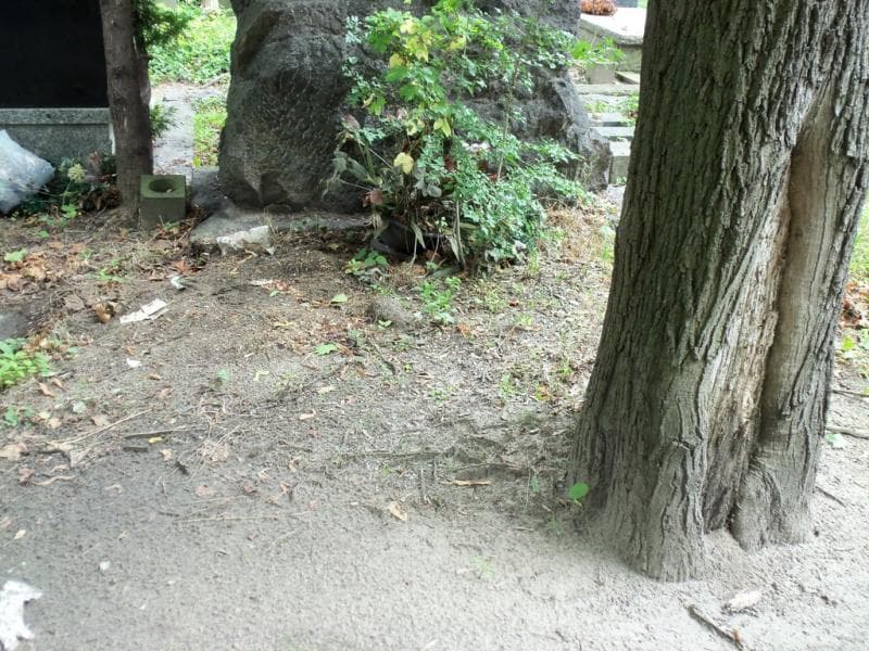 Zdjęcie grobu: Pole Grobowe