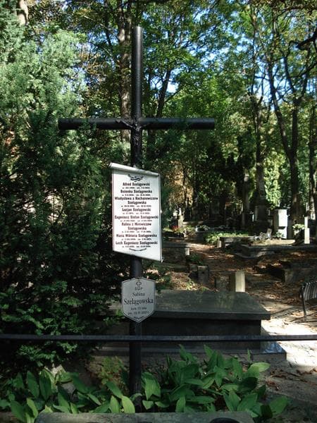 Zdjęcie grobu Lech Eugeniusz Szelągowski (2)