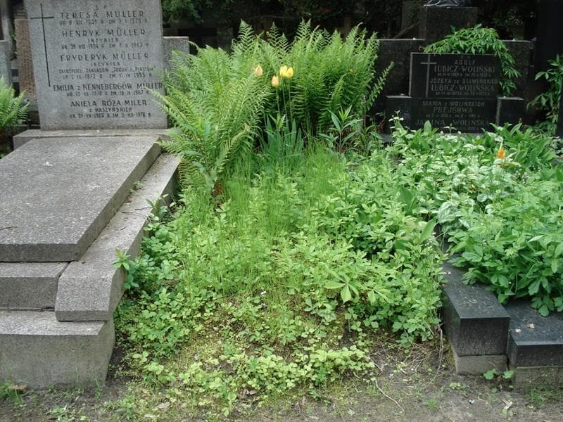 Zdjęcie grobu Pole Grobowe (1)