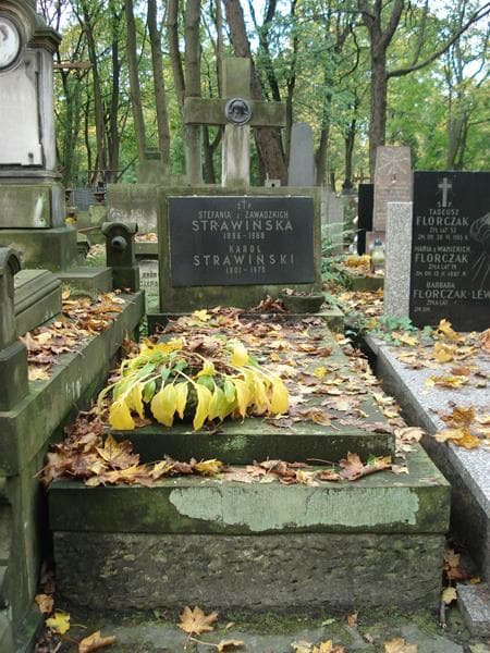 Zdjęcie grobu: Stefania Strawińska