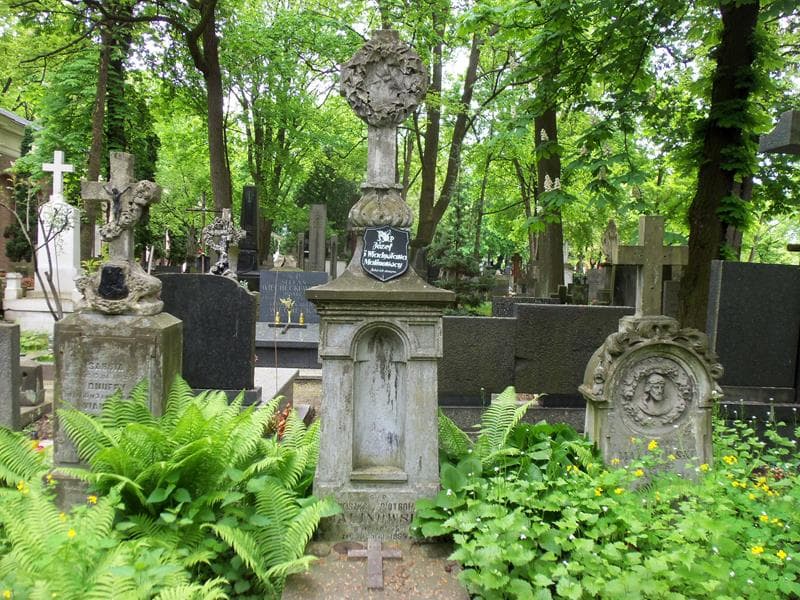 Zdjęcie grobu Kazimierz ... (2)