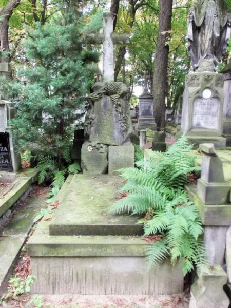 Zdjęcie grobu: Irena Trzópek