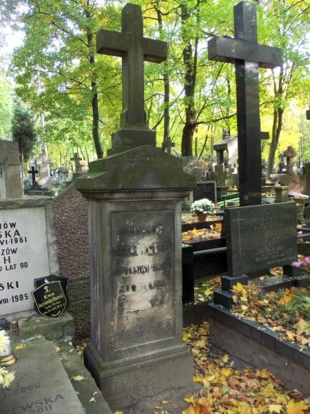 Zdjęcie grobu Jgnacy Babiatyński (2)