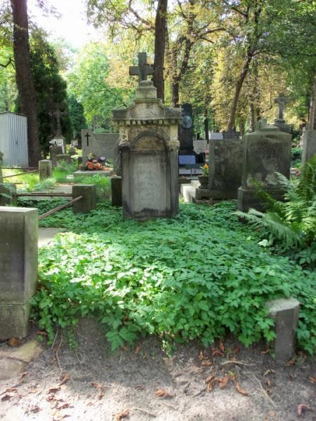 Zdjęcie grobu: Józefa Czarnowska