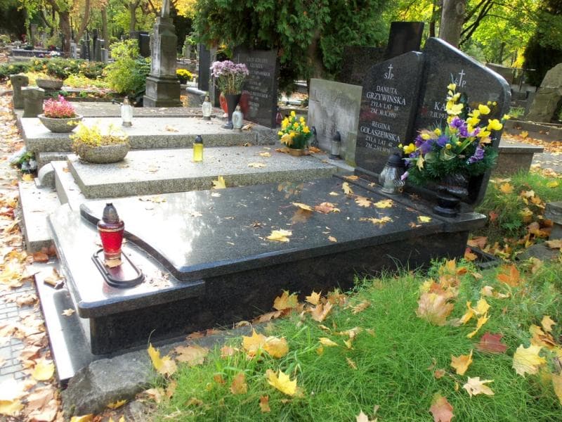 Zdjęcie grobu Regina Gołaszewska (1)