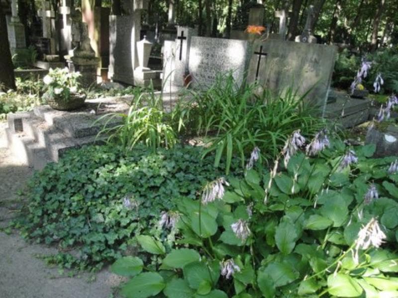 Zdjęcie grobu Stanisława Markiewicz (1)