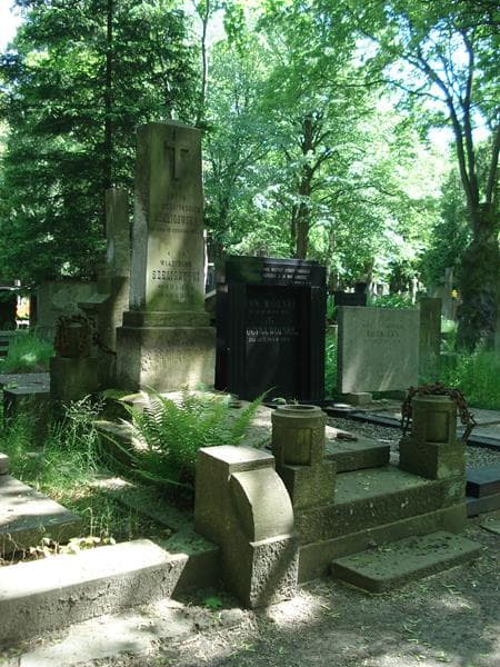 Zdjęcie grobu Władysław Szeligowski (1)