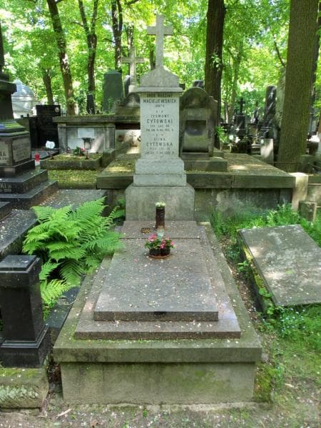 Zdjęcie grobu: Zygmunt Cytowski