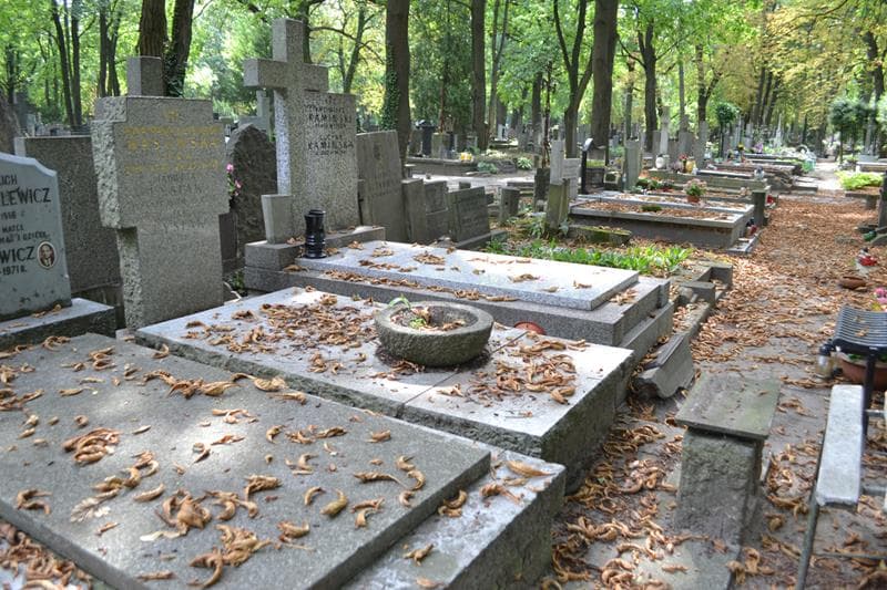 Zdjęcie grobu: Alina Maria Wasowska
