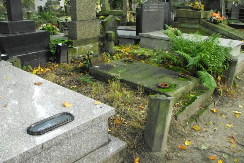 Zdjęcie grobu Wolscy I Wilkoszewscy (1)
