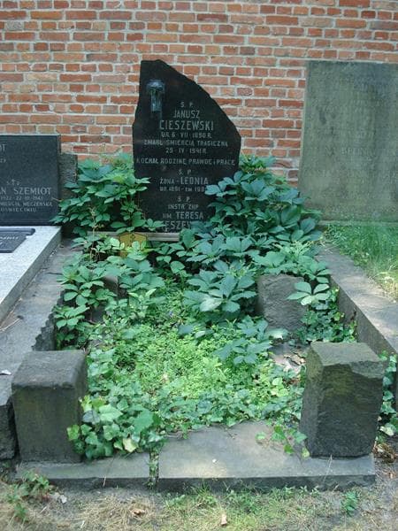 Zdjęcie grobu: Janusz Cieszewski