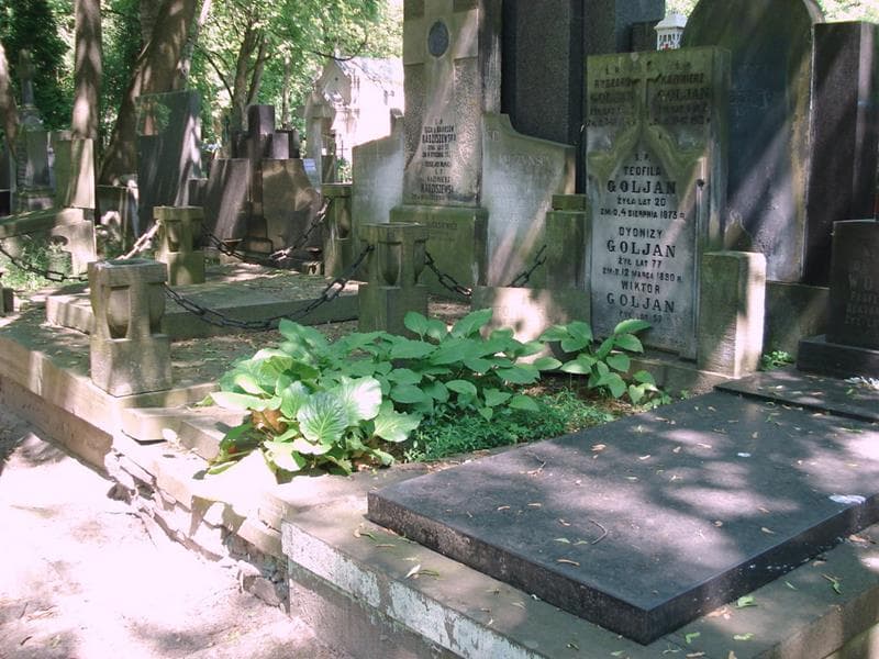 Zdjęcie grobu: Teofila Goljan