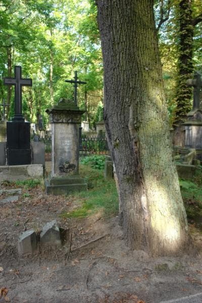 Zdjęcie grobu: Delphine De Henrici