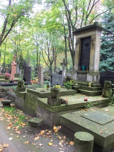 Zdjęcie grobu Halina Ilka (1)