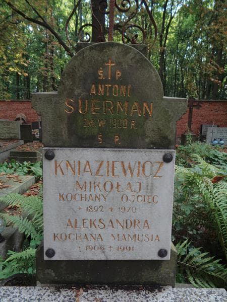 Zdjęcie grobu Aleksandra Kniaziewicz (2)