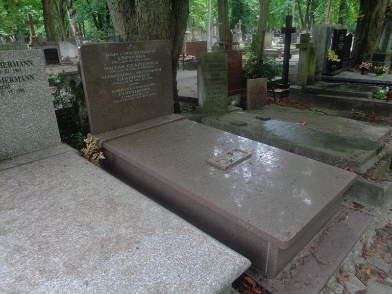 Zdjęcie grobu: Barbara Cudnikowa