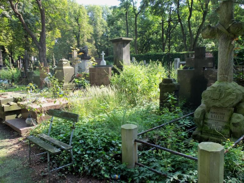 Zdjęcie grobu Michał Woźniak (2)