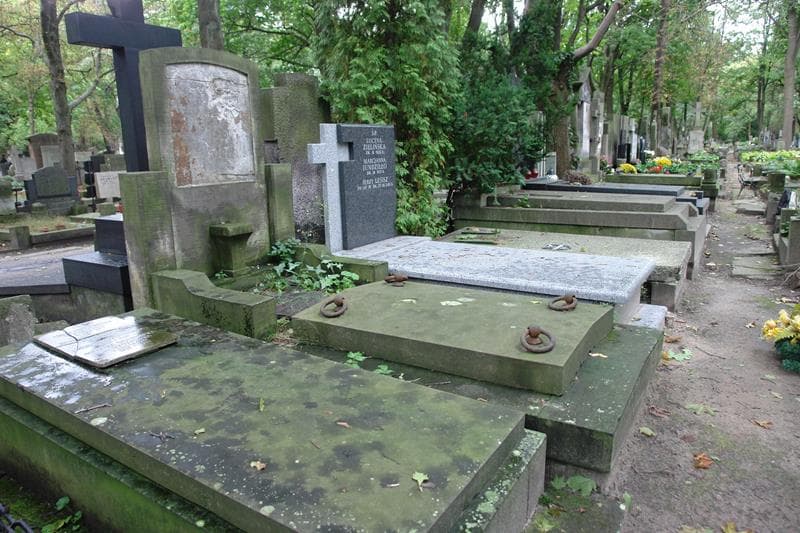 Zdjęcie grobu: Władysław Nowosielski