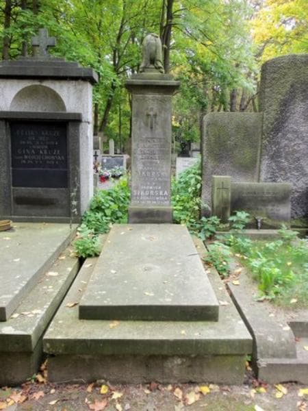 Zdjęcie grobu: Franciszek Orzechowski
