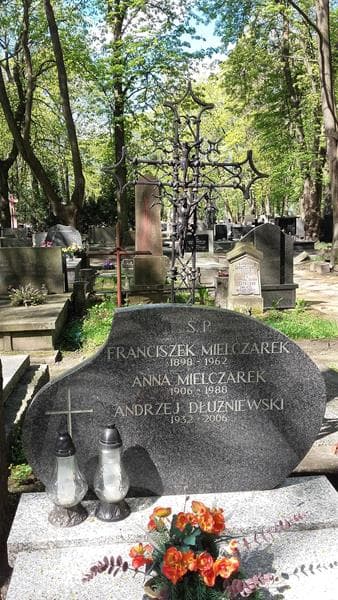 Zdjęcie grobu Andrzej Dłużniewski (1)